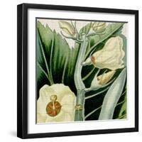 Cropped Turpin Tropicals III-Vision Studio-Framed Art Print