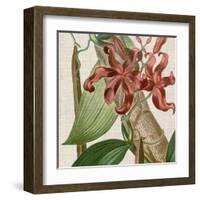 Cropped Turpin Tropicals IX-Vision Studio-Framed Art Print