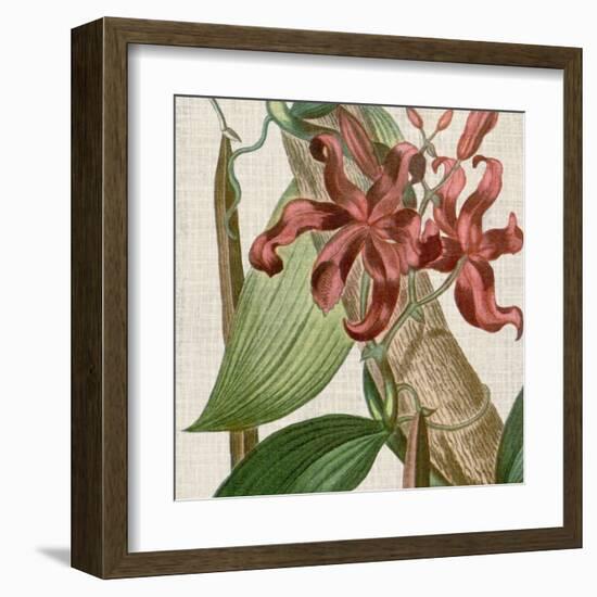 Cropped Turpin Tropicals IX-Vision Studio-Framed Art Print