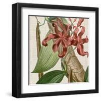 Cropped Turpin Tropicals IX-Vision Studio-Framed Art Print