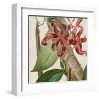 Cropped Turpin Tropicals IX-Vision Studio-Framed Art Print