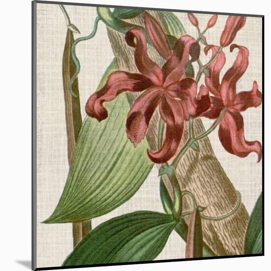 Cropped Turpin Tropicals IX-Vision Studio-Mounted Art Print