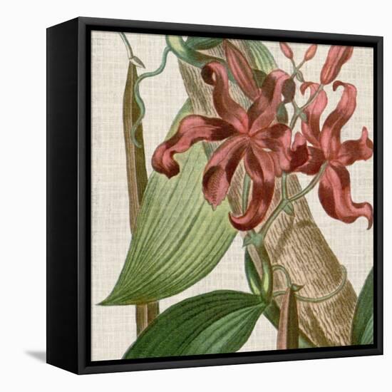 Cropped Turpin Tropicals IX-Vision Studio-Framed Stretched Canvas