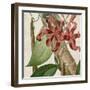 Cropped Turpin Tropicals IX-Vision Studio-Framed Art Print