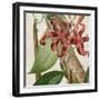 Cropped Turpin Tropicals IX-Vision Studio-Framed Art Print