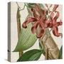 Cropped Turpin Tropicals IX-Vision Studio-Stretched Canvas