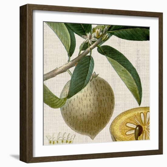 Cropped Turpin Tropicals V-Vision Studio-Framed Art Print