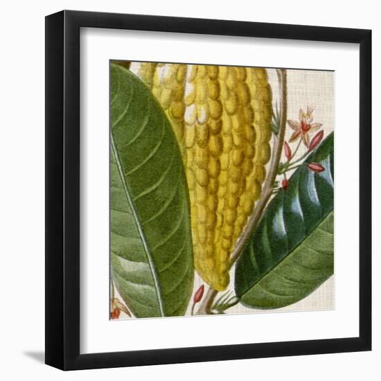 Cropped Turpin Tropicals VI-Vision Studio-Framed Art Print