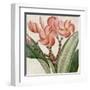 Cropped Turpin Tropicals VII-Vision Studio-Framed Art Print