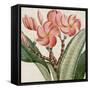 Cropped Turpin Tropicals VII-Vision Studio-Framed Stretched Canvas