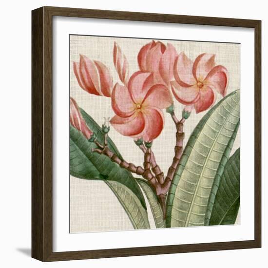 Cropped Turpin Tropicals VII-Vision Studio-Framed Art Print