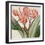 Cropped Turpin Tropicals VII-Vision Studio-Framed Art Print