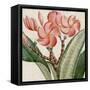 Cropped Turpin Tropicals VII-Vision Studio-Framed Stretched Canvas