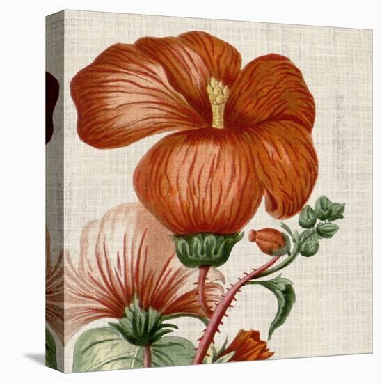 Cropped Turpin Tropicals VIII-Vision Studio-Stretched Canvas