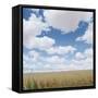 Crops growing in a field-null-Framed Stretched Canvas