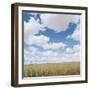 Crops growing in a field-null-Framed Photographic Print