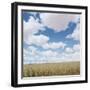 Crops growing in a field-null-Framed Photographic Print