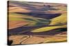 Crops of Wheat and Peas Nearing Harvest-Terry Eggers-Stretched Canvas