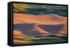 Crops of Wheat and Peas Nearing Harvest-Terry Eggers-Framed Stretched Canvas