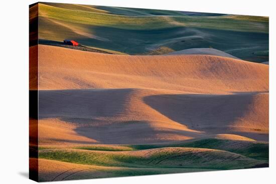 Crops of Wheat and Peas Nearing Harvest-Terry Eggers-Stretched Canvas