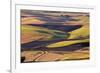 Crops of Wheat and Peas Nearing Harvest-Terry Eggers-Framed Photographic Print