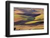 Crops of Wheat and Peas Nearing Harvest-Terry Eggers-Framed Photographic Print