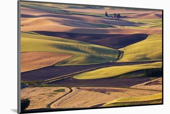 Crops of Wheat and Peas Nearing Harvest-Terry Eggers-Mounted Photographic Print