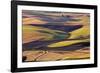 Crops of Wheat and Peas Nearing Harvest-Terry Eggers-Framed Photographic Print