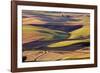 Crops of Wheat and Peas Nearing Harvest-Terry Eggers-Framed Photographic Print