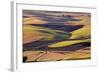 Crops of Wheat and Peas Nearing Harvest-Terry Eggers-Framed Photographic Print