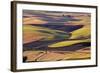 Crops of Wheat and Peas Nearing Harvest-Terry Eggers-Framed Photographic Print