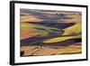 Crops of Wheat and Peas Nearing Harvest-Terry Eggers-Framed Photographic Print
