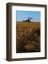 Crops Ready for Harvest-null-Framed Photographic Print