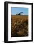 Crops Ready for Harvest-null-Framed Photographic Print