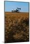 Crops Ready for Harvest-null-Mounted Photographic Print