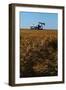 Crops Ready for Harvest-null-Framed Photographic Print