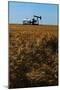 Crops Ready for Harvest-null-Mounted Photographic Print
