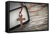 Cross and Bible-elenathewise-Framed Stretched Canvas