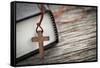 Cross and Bible-elenathewise-Framed Stretched Canvas