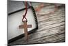 Cross and Bible-elenathewise-Mounted Photographic Print
