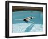 Cross Bath, Thermae Bath Spa, Bath, Avon, England, United Kingdom-Matthew Davison-Framed Photographic Print