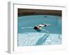 Cross Bath, Thermae Bath Spa, Bath, Avon, England, United Kingdom-Matthew Davison-Framed Photographic Print