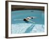 Cross Bath, Thermae Bath Spa, Bath, Avon, England, United Kingdom-Matthew Davison-Framed Photographic Print