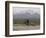 Cross-Country Bicyclist, US Hwy 50, Toiyabe Range, Great Basin, Nevada, USA-Scott T. Smith-Framed Photographic Print