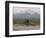 Cross-Country Bicyclist, US Hwy 50, Toiyabe Range, Great Basin, Nevada, USA-Scott T. Smith-Framed Photographic Print