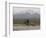 Cross-Country Bicyclist, US Hwy 50, Toiyabe Range, Great Basin, Nevada, USA-Scott T. Smith-Framed Photographic Print