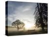 Cross-country course at dawn-AdventureArt-Stretched Canvas