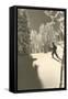 Cross-Country Skier in Profile-null-Framed Stretched Canvas