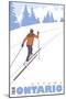 Cross Country Skier, Ottawa, Ontario-Lantern Press-Mounted Art Print