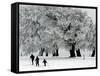 Cross Country Skiers Head Through a Deep Layer of Snow on the Mountain Schauinsland-null-Framed Stretched Canvas